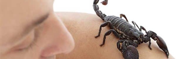 Humans and Scorpions