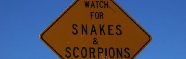 Escorpiones y Seres Humanos